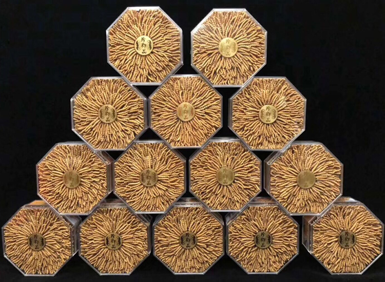 珍御品冬蟲夏草月餅圖片 珍御品冬蟲夏草月餅圖片