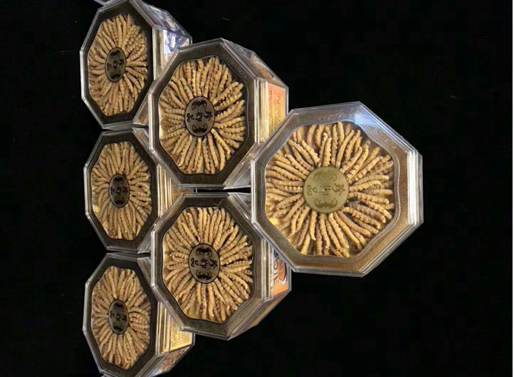 冬蟲夏草月餅金三角造型 冬蟲夏草月餅金三角造型