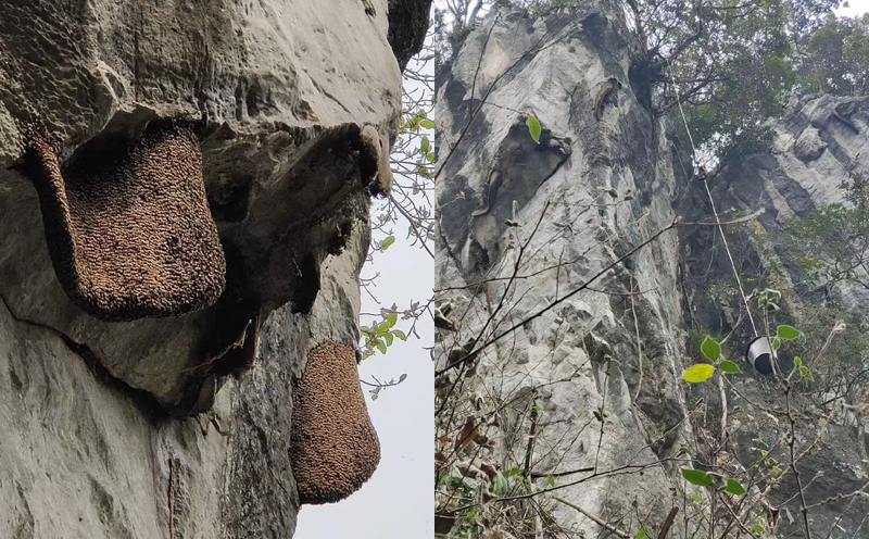 巖蜜照片 巖蜜照片