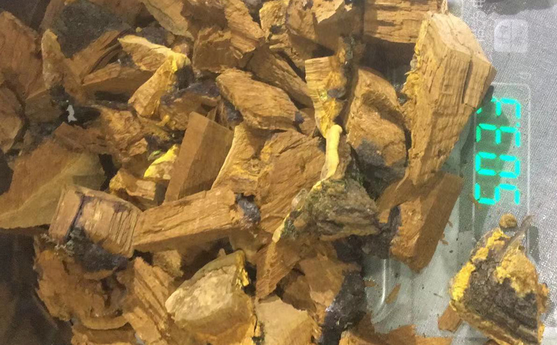 桑黃切塊圖片 桑黃切塊圖片