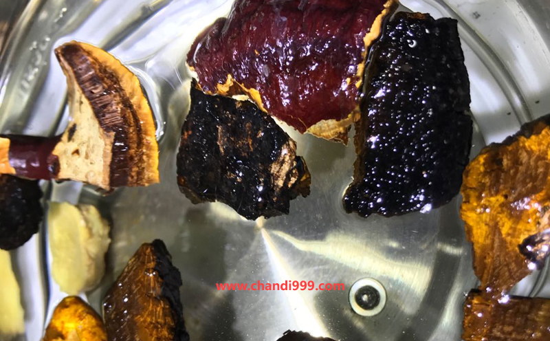 桑黃煮水圖片 桑黃煮水圖片