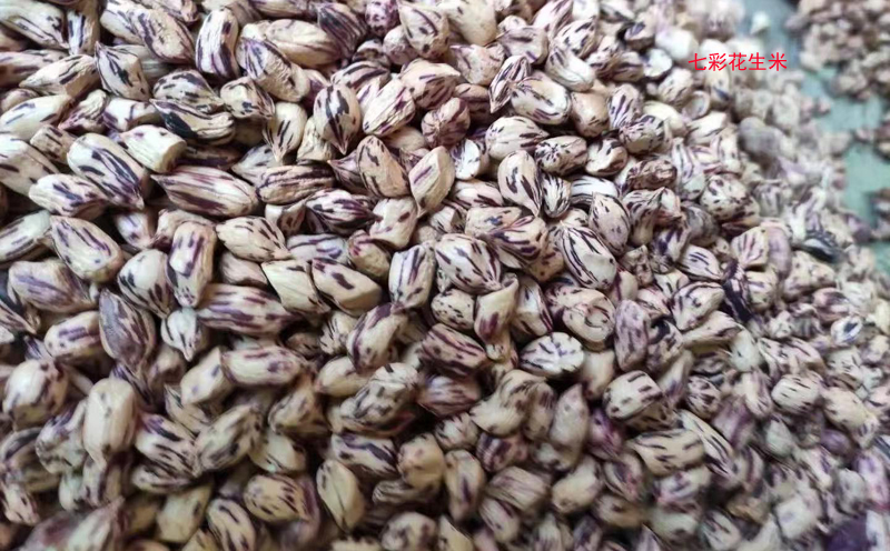 七彩花生米圖片 七彩花生米圖片