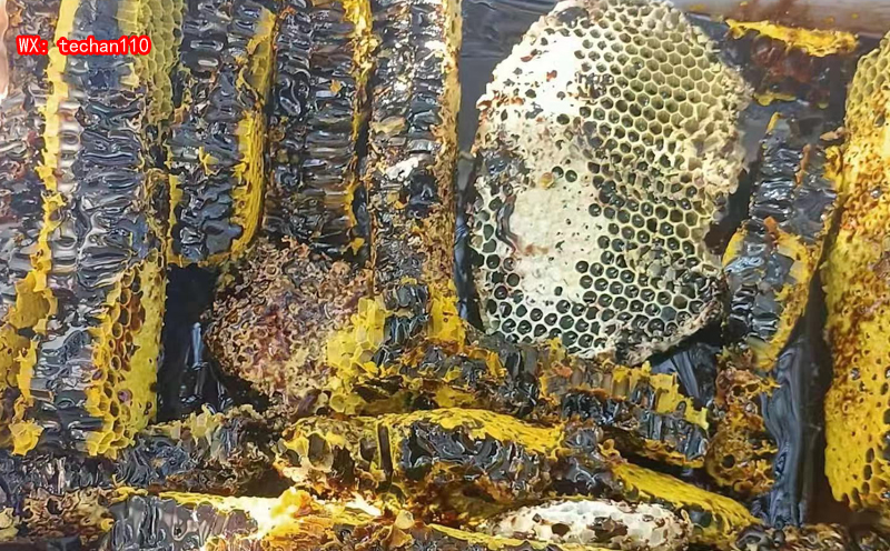 米團花黑蜜圖片 米團花黑蜜圖片