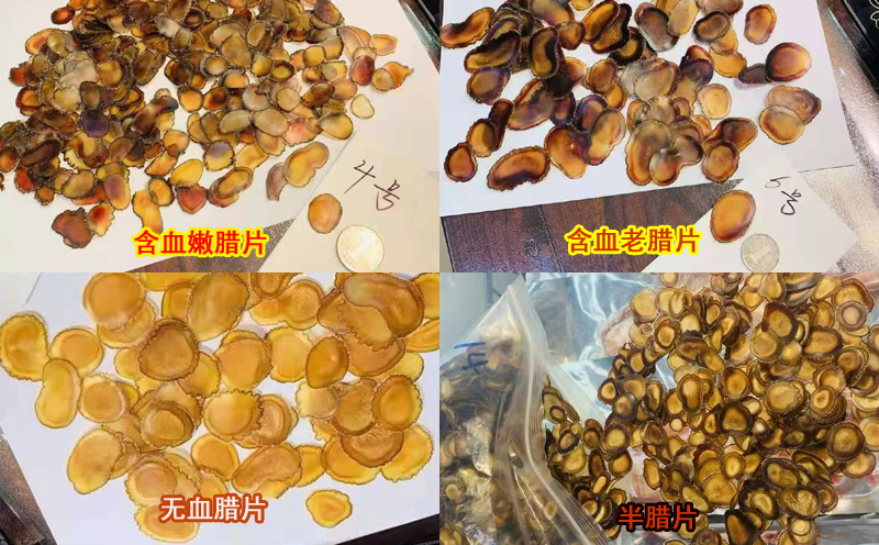 梅花鹿鹿茸臘片圖片