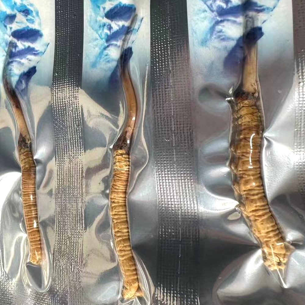 新鮮蟲草真空包裝