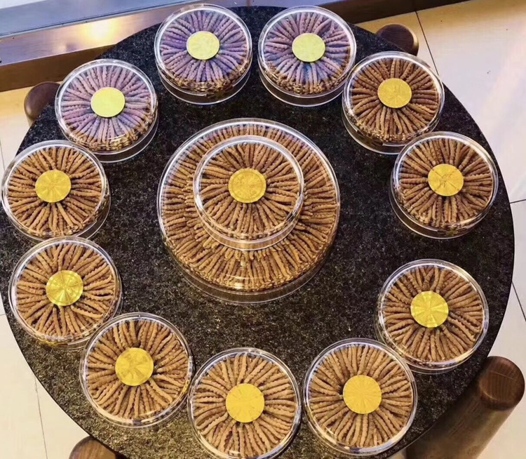 冬蟲夏草圓盒擺放宣傳圖片 冬蟲夏草圓盒擺放宣傳圖片