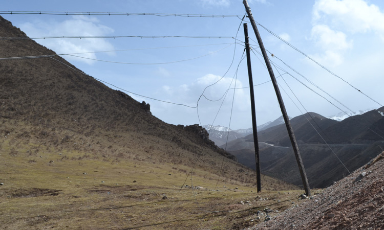 遠處的雪山就是蟲草生長的地方 遠處的雪山就是蟲草生長的地方