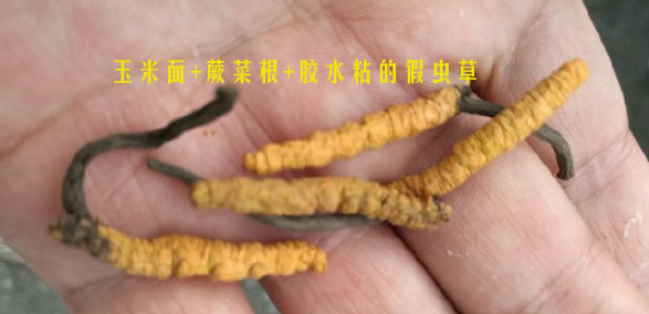 面粉做的假蟲草圖片 面粉做的假蟲草圖片