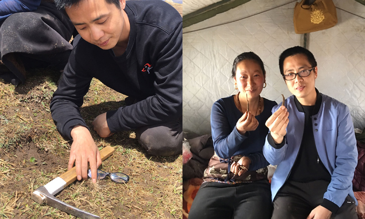 與采挖新鮮蟲草的藏族美女合影 與采挖新鮮蟲草的藏族美女合影