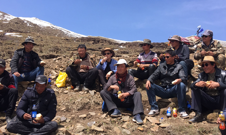 與新鮮冬蟲夏草采挖者們的合影 與新鮮冬蟲夏草采挖者們的合影