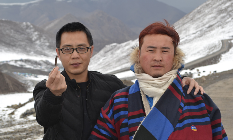 在新鮮蟲草采集地附近與藏族小哥合影 在新鮮蟲草采集地附近與藏族小哥合影