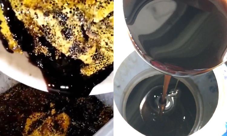 米團花黑蜂蜜圖片 米團花黑蜂蜜圖片