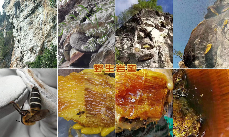 巖蜂蜜圖片