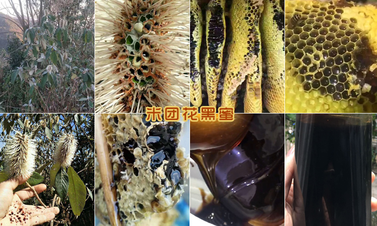 米團花黑蜜圖片