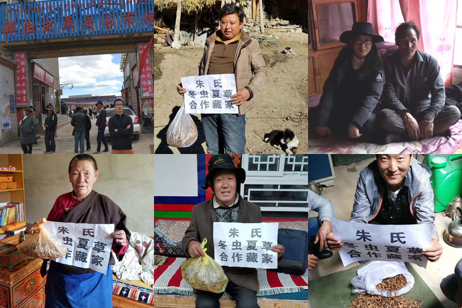 朱氏極藏冬蟲夏草品牌 朱氏極藏冬蟲夏草品牌